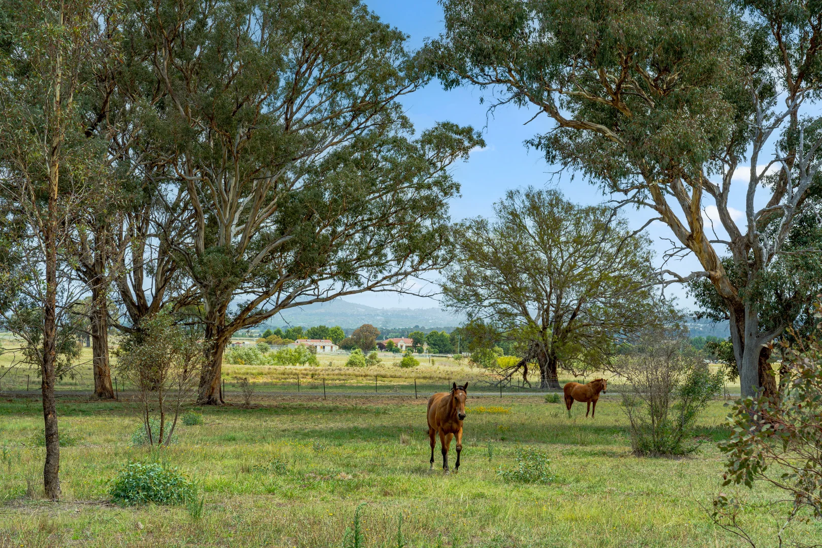 Additional image 62 of 14 Avonley Road, Majura ACT 2609