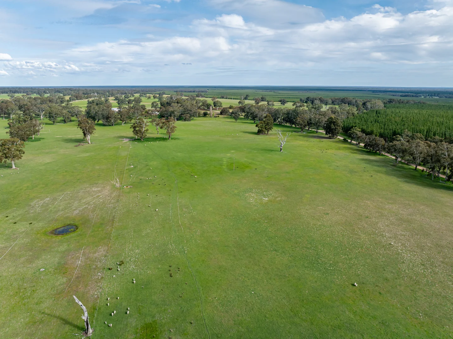 Additional image 23 of 219 Ockley Rd, Comaum SA 5277