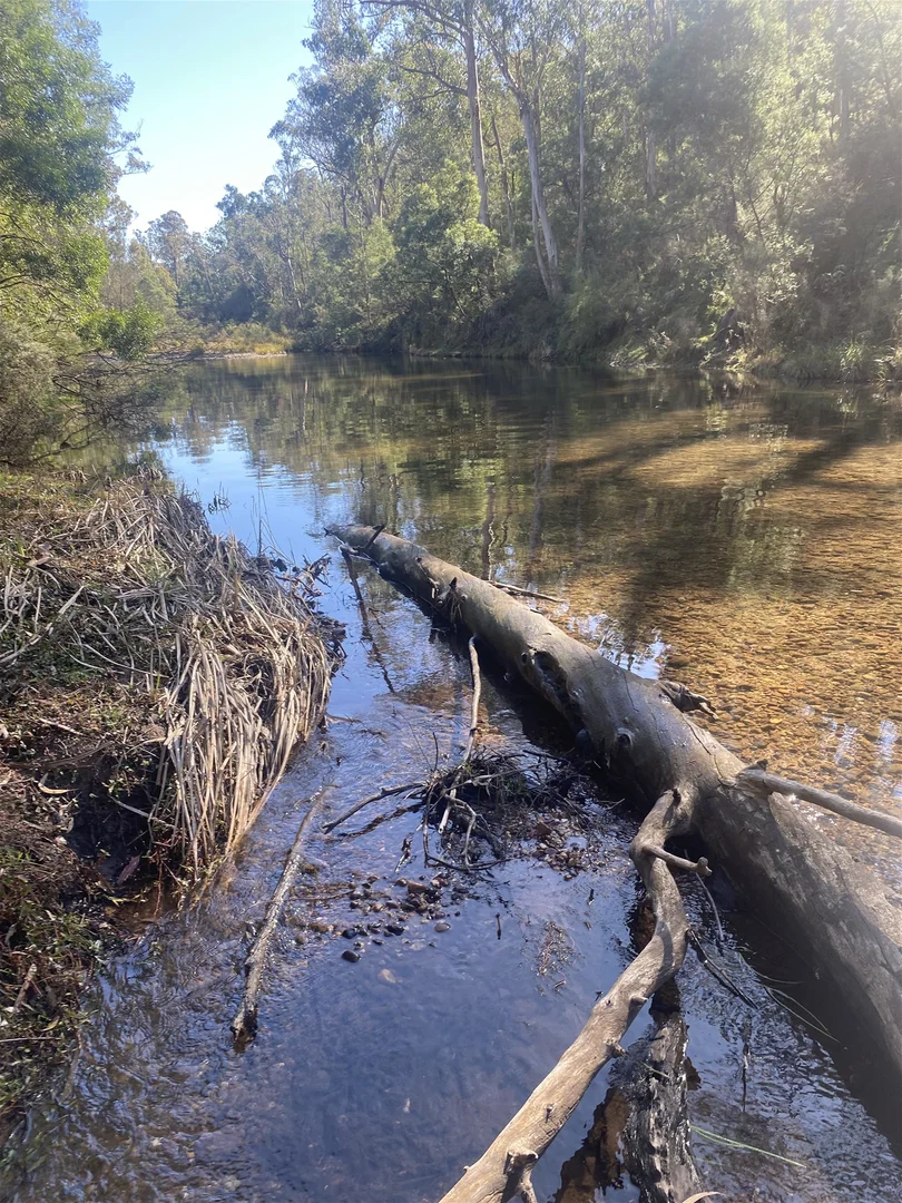 Additional image 32 of 138 Elliot Road, Valencia Creek VIC 3860