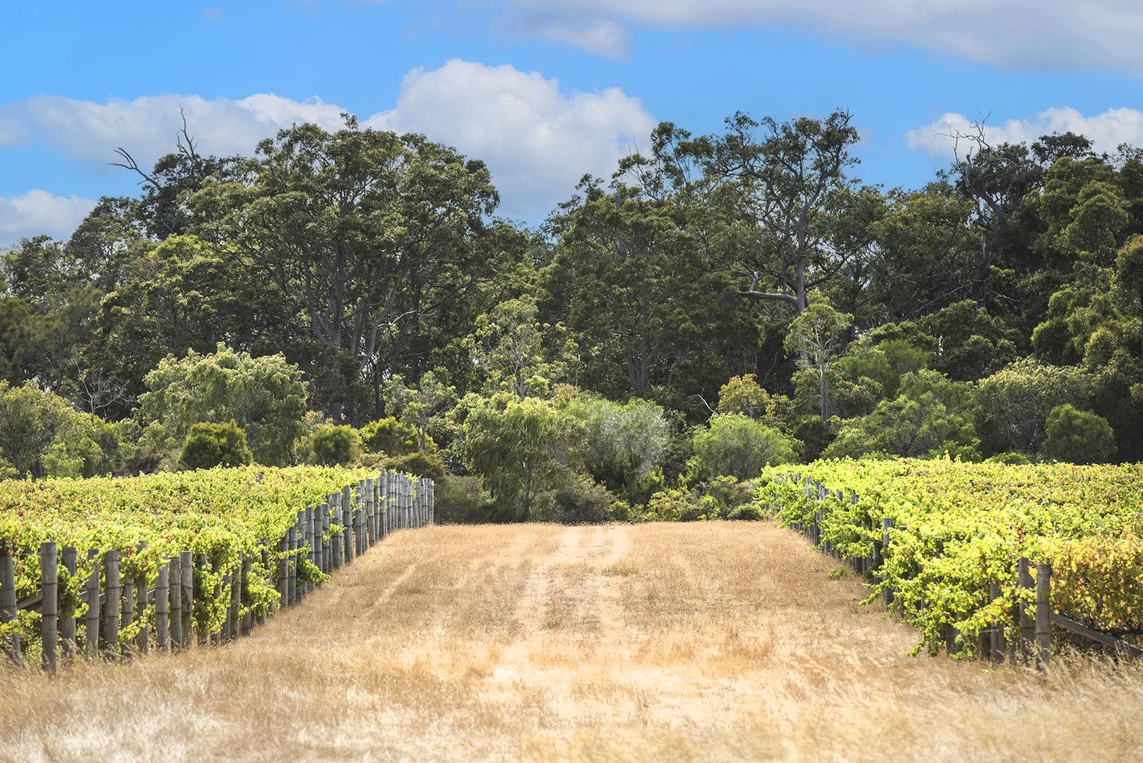 Additional image 5 of 243 Miamup Road, Cowaramup WA 6284