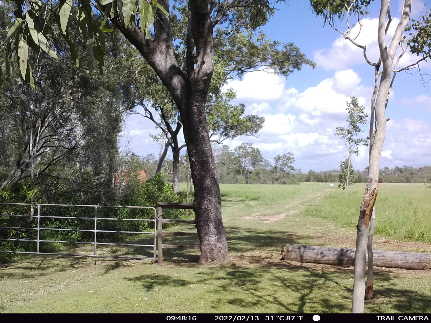 Additional image 22 of 158 Hodzic Rd, Biboohra QLD 4880
