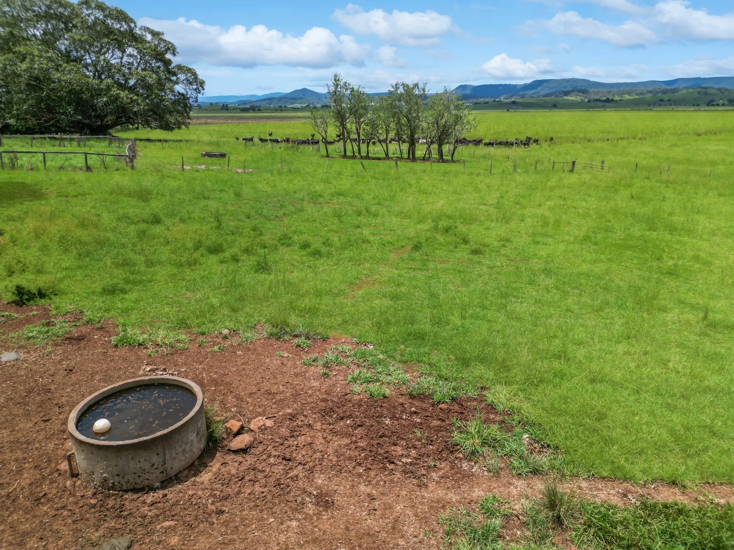 Additional image 2 of 89 O'Connors Road, Fairy Hill NSW 2470