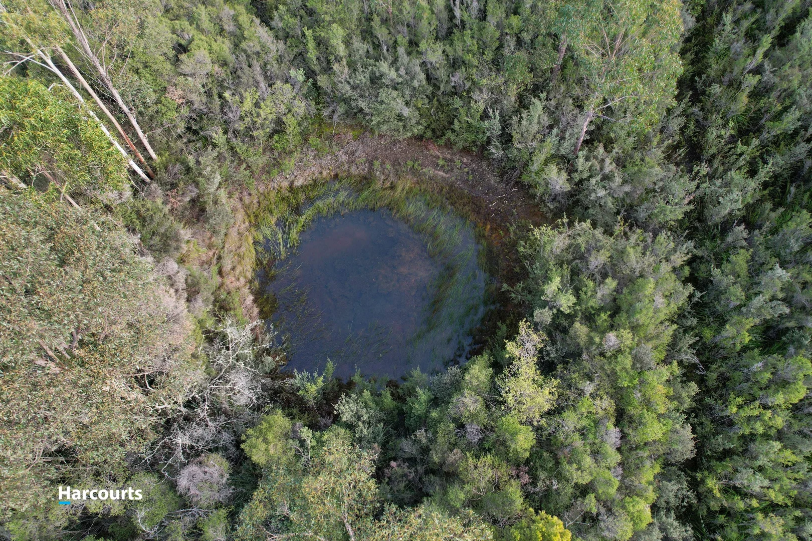 Additional image 4 of 110 Tongue Road, Hastings TAS 7109