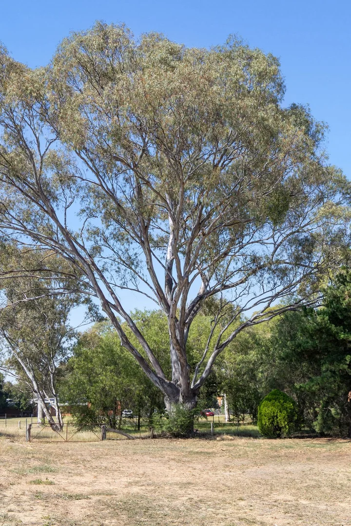 Additional image 6 of Lot 2, 1-3 Bank Street, Kangaroo Flat VIC 3555