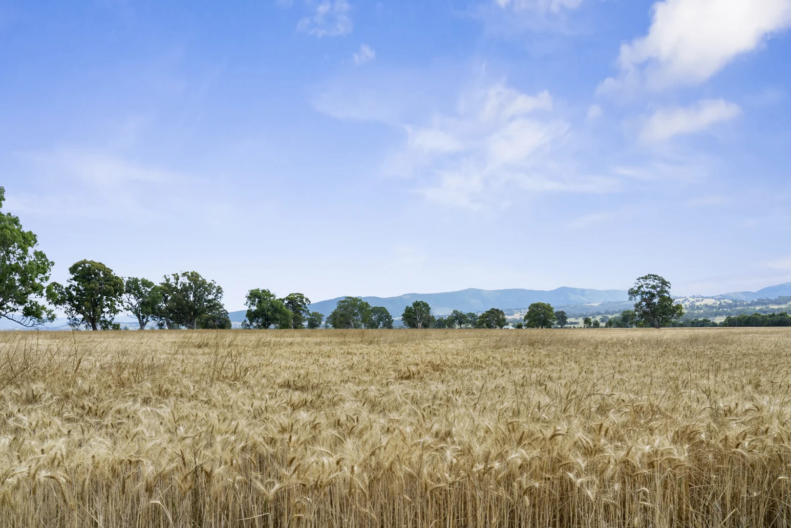 Additional image 3 of Lot 3 Long Lane, Barwite VIC 3722