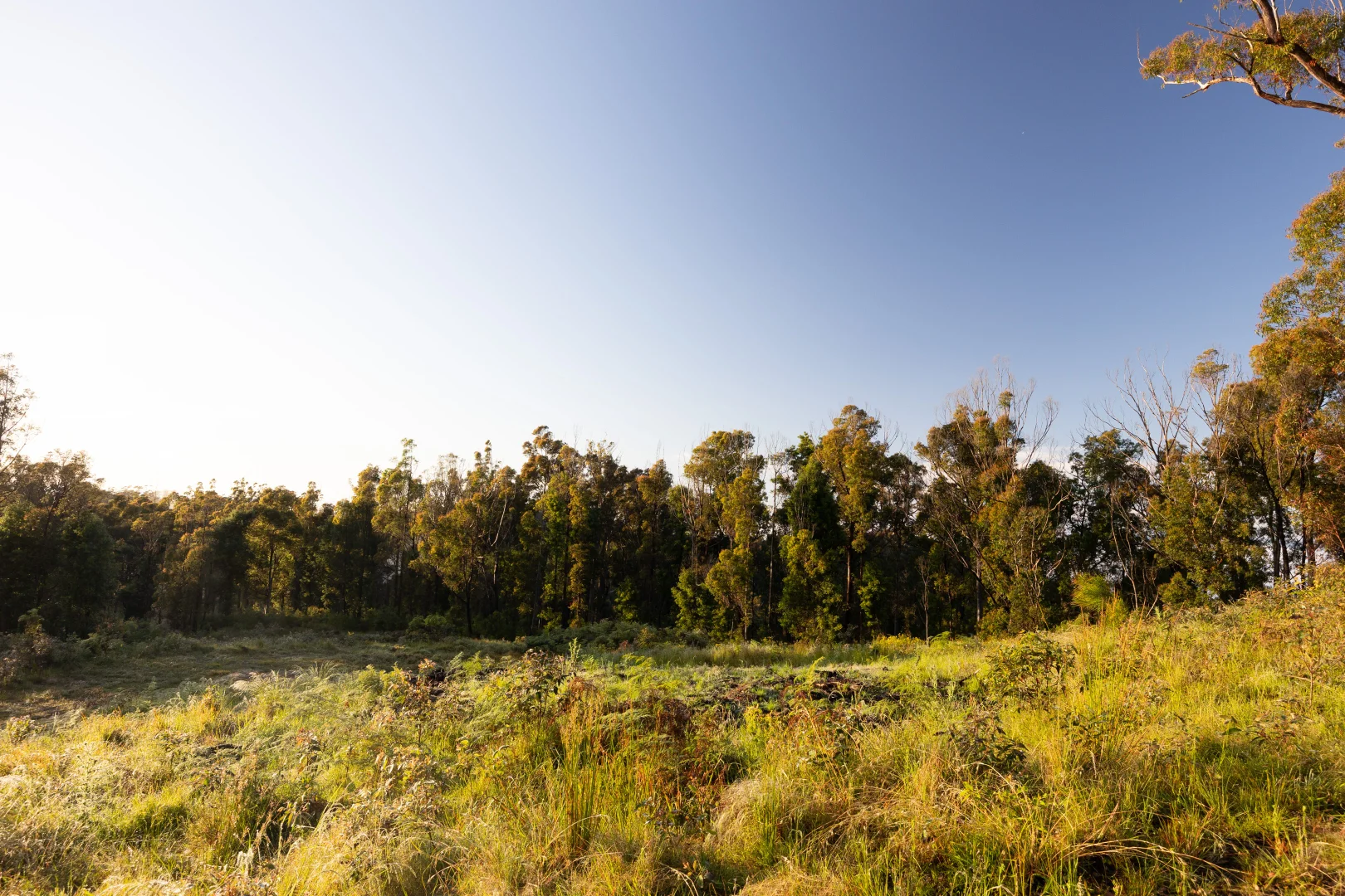 Additional image 18 of 8 Old Coach Road, Termeil NSW 2539