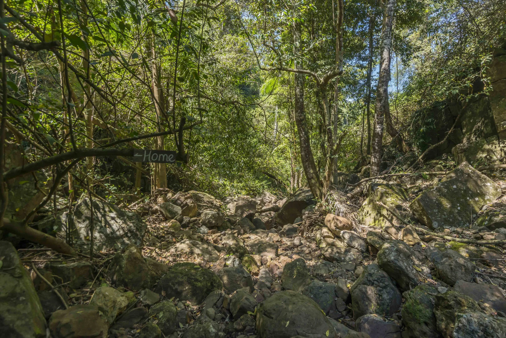 Additional image 33 of 76 Maso Road, Repentance Creek NSW 2480