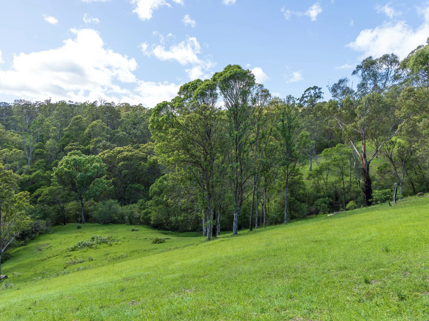 Additional image 33 of 660 Hawks Head Road, Brogo NSW 2550