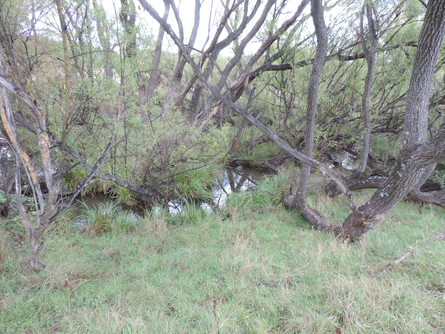 Additional image 15 of Lot 2 Golspie Road, Laggan NSW 2583