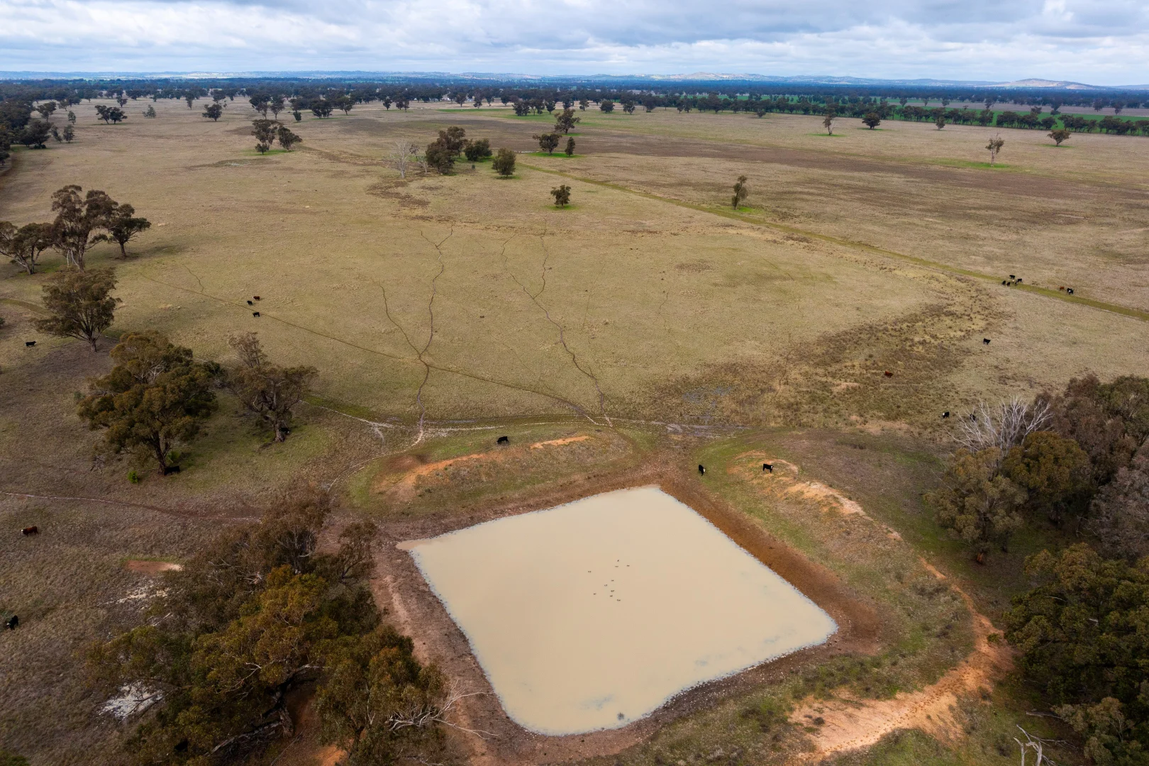 Additional image 42 of 1843 Yeo Yeo Hampstead Road, Young NSW 2594