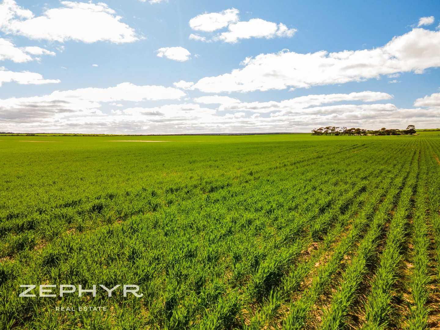 Additional image 16 of 885 Brennand Road, South Yilgarn WA 6426