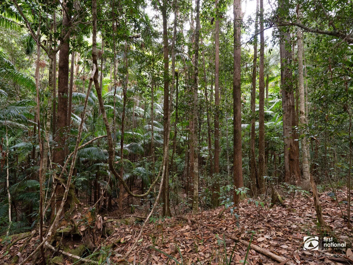 Additional image 36 of 563 Commissioners Creek Road, Commissioners Creek NSW 2484