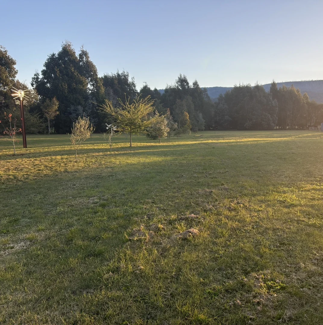 Additional image 5 of 15 Waters Place, Buxton VIC 3711