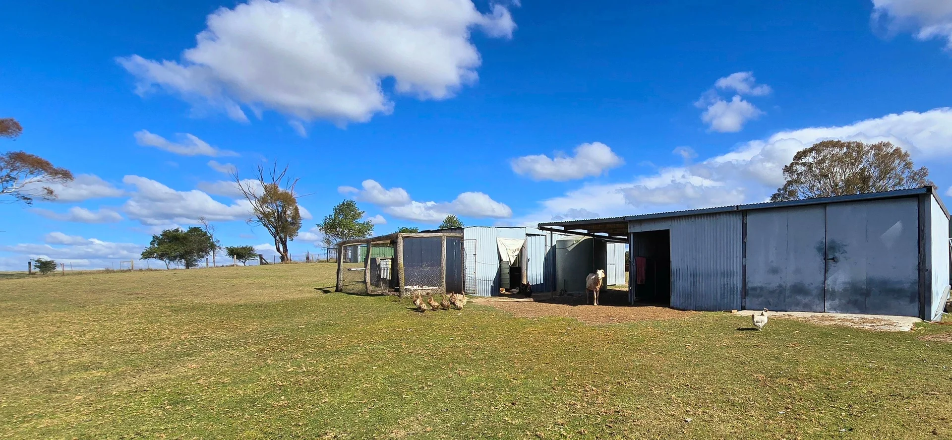 Additional image 17 of 1191 Black Swamp Road, Tenterfield NSW 2372