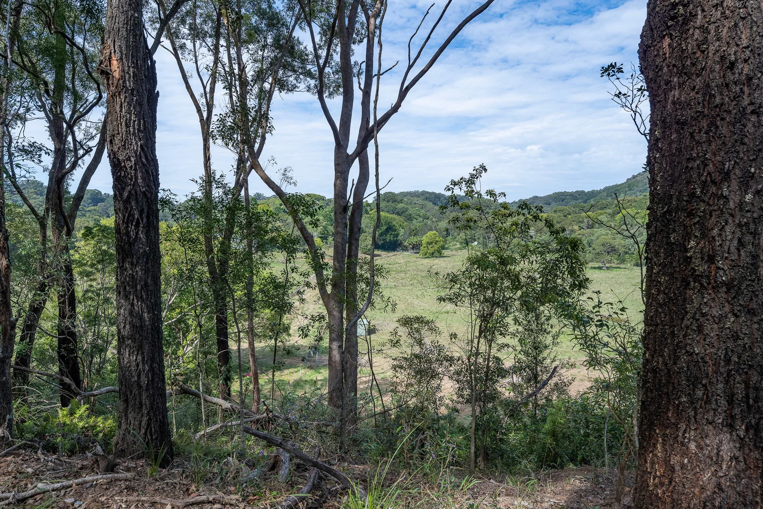 Additional image 20 of 38 Wooyung Road, Wooyung NSW 2483