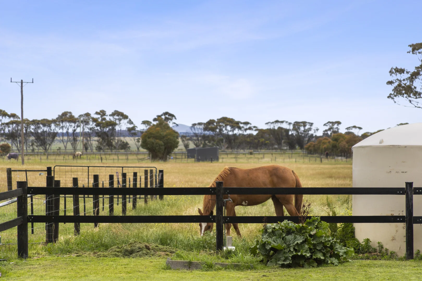 Additional image 39 of 2249 Midland Highway, Bannockburn VIC 3331