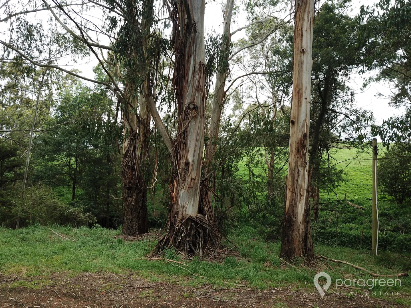 Additional image 11 of 140 Franklin River Road, Toora VIC 3962