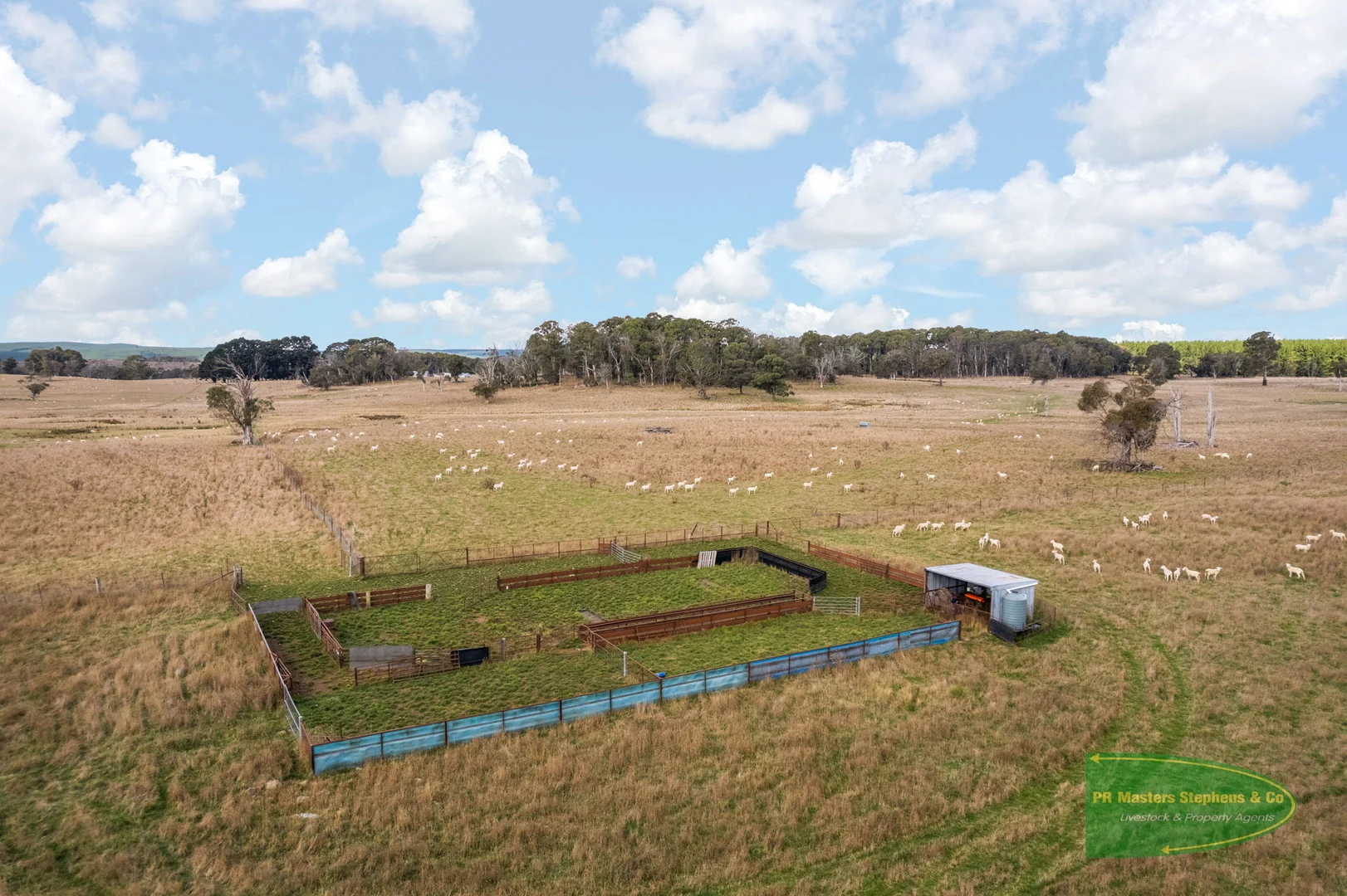 Additional image 26 of 800 Riverview Forest Road, Mozart NSW 2787