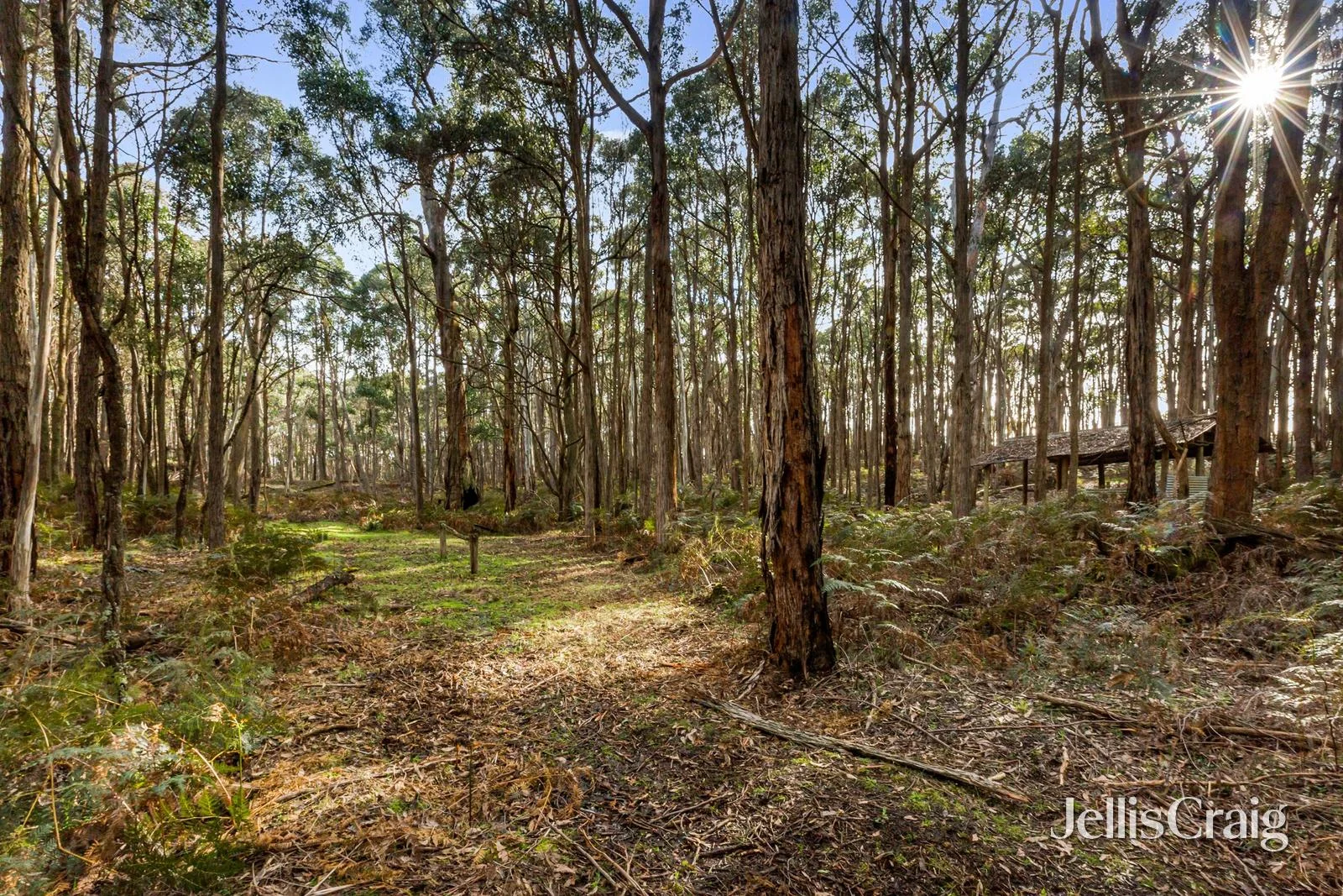 Additional image 17 of 85 Lightwood Drive, Wheatsheaf VIC 3461