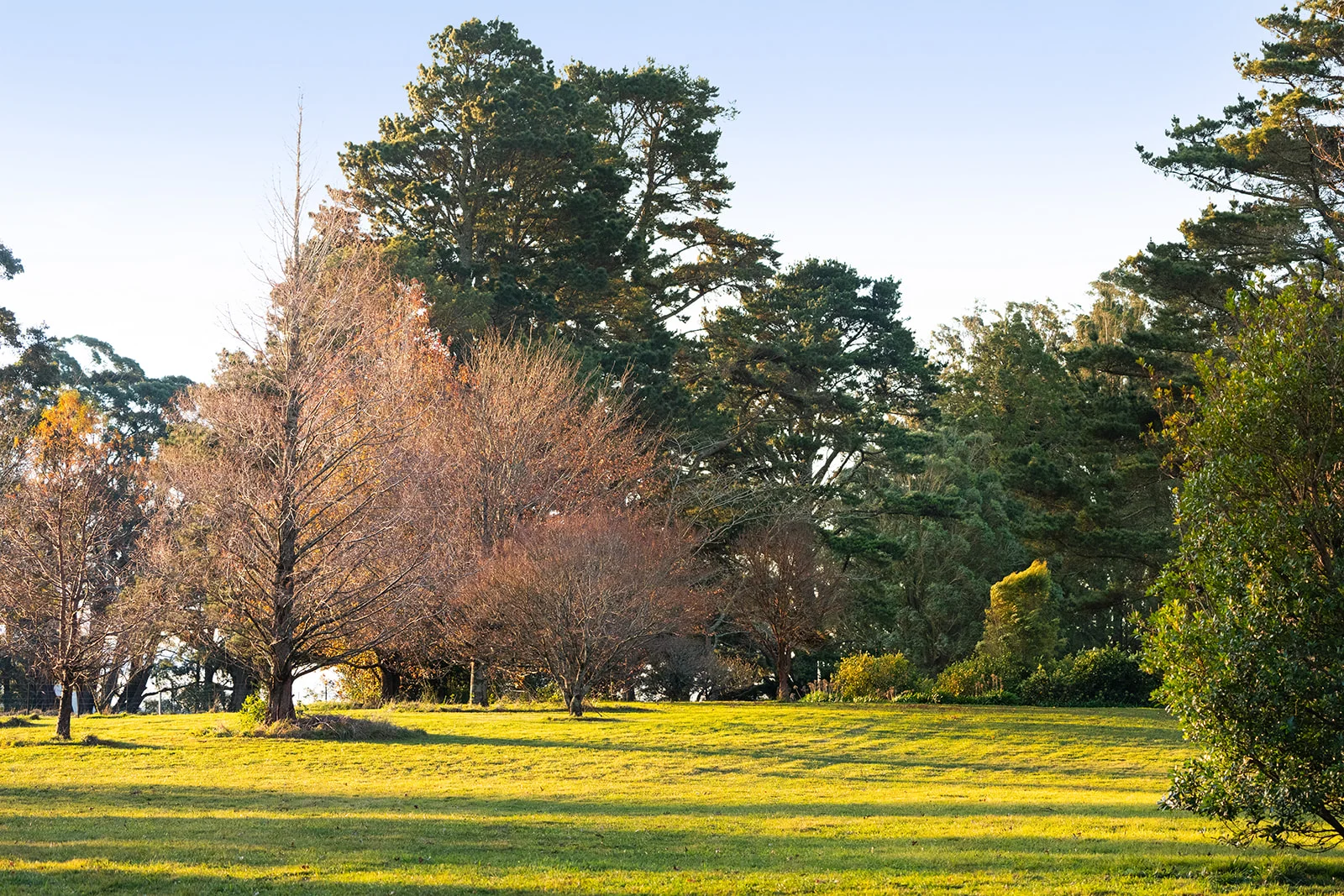 Additional image 15 of 421 Myra Vale Road, Wildes Meadow NSW 2577