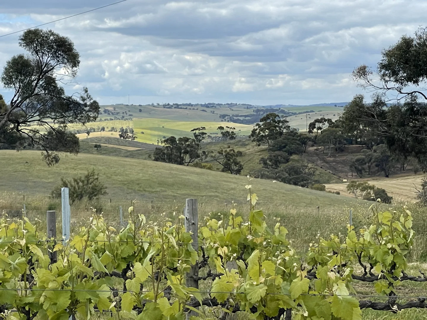 Additional image 21 of 296 Rosedale Scenic Road, Lyndoch SA 5351