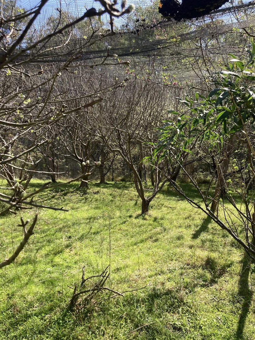 Additional image 27 of 138 Elliot Road, Valencia Creek VIC 3860