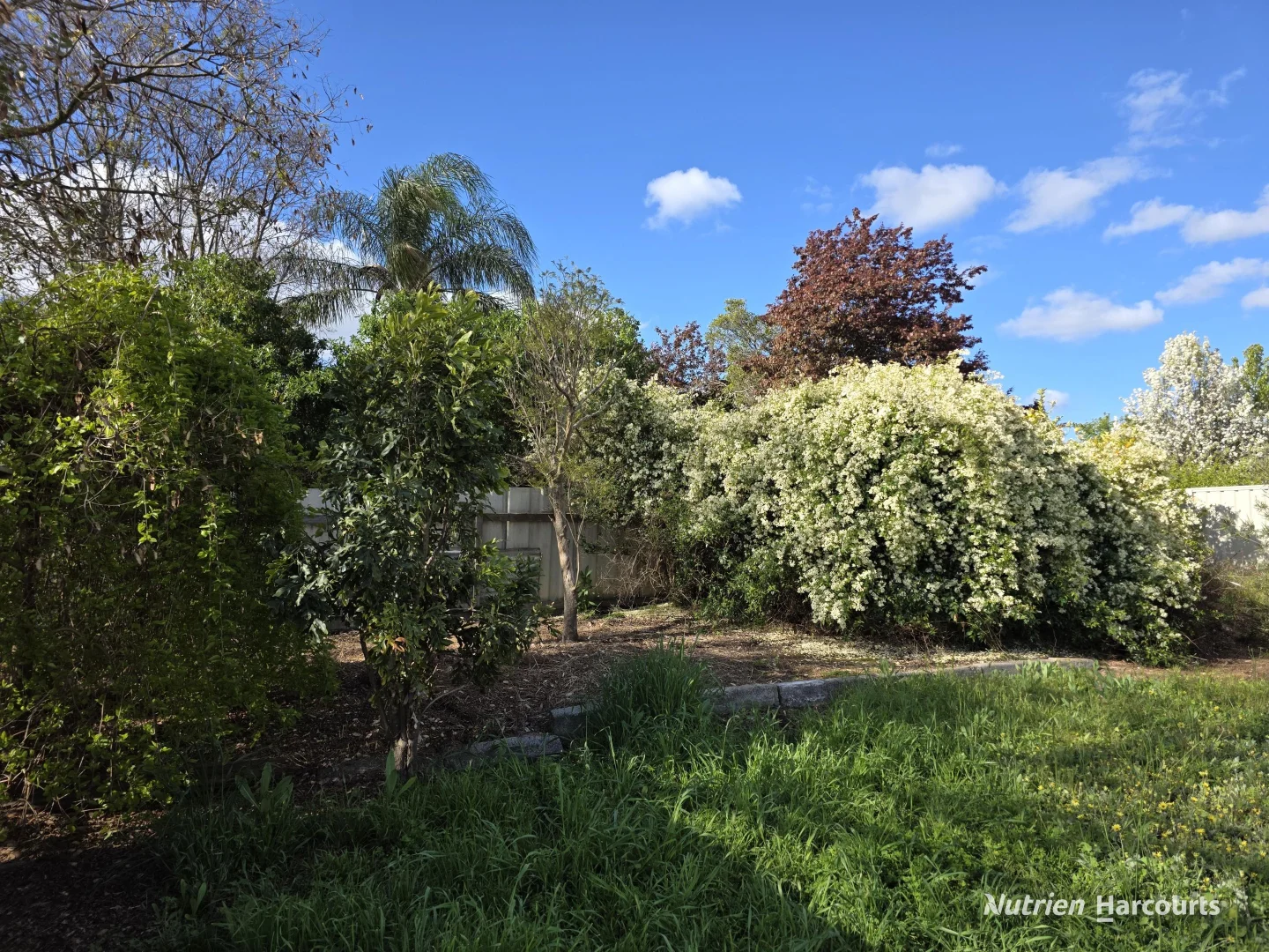 Additional image 7 of 9 McLeod Street, Kojonup WA 6395