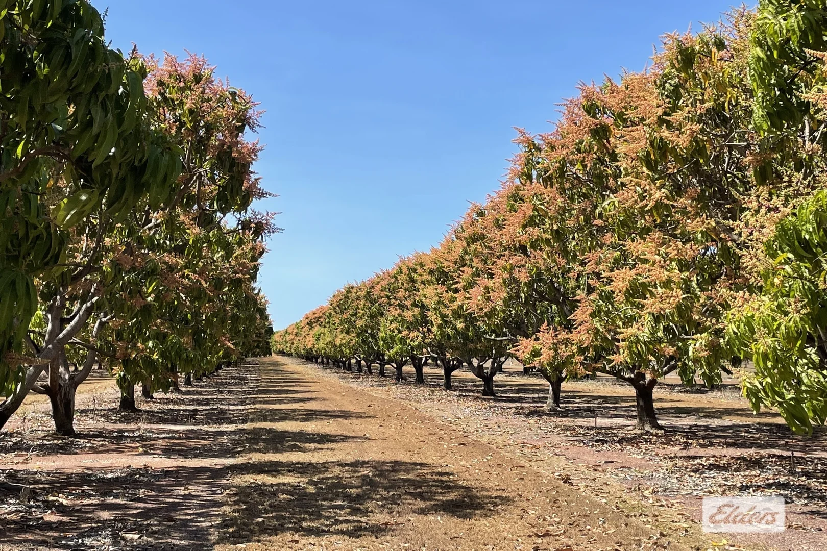 Additional image 18 of 30 Cain Road, Lambells Lagoon NT 0822