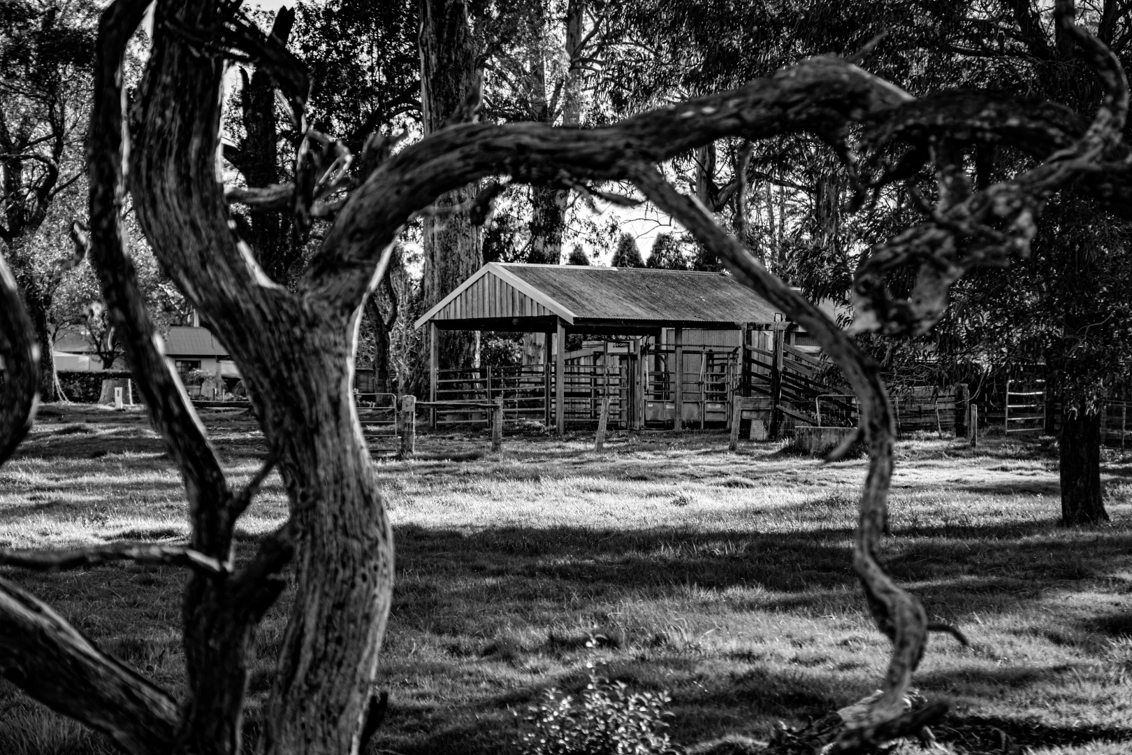 Additional image 46 of 50 Blencowes Lane, Wildes Meadow NSW 2577