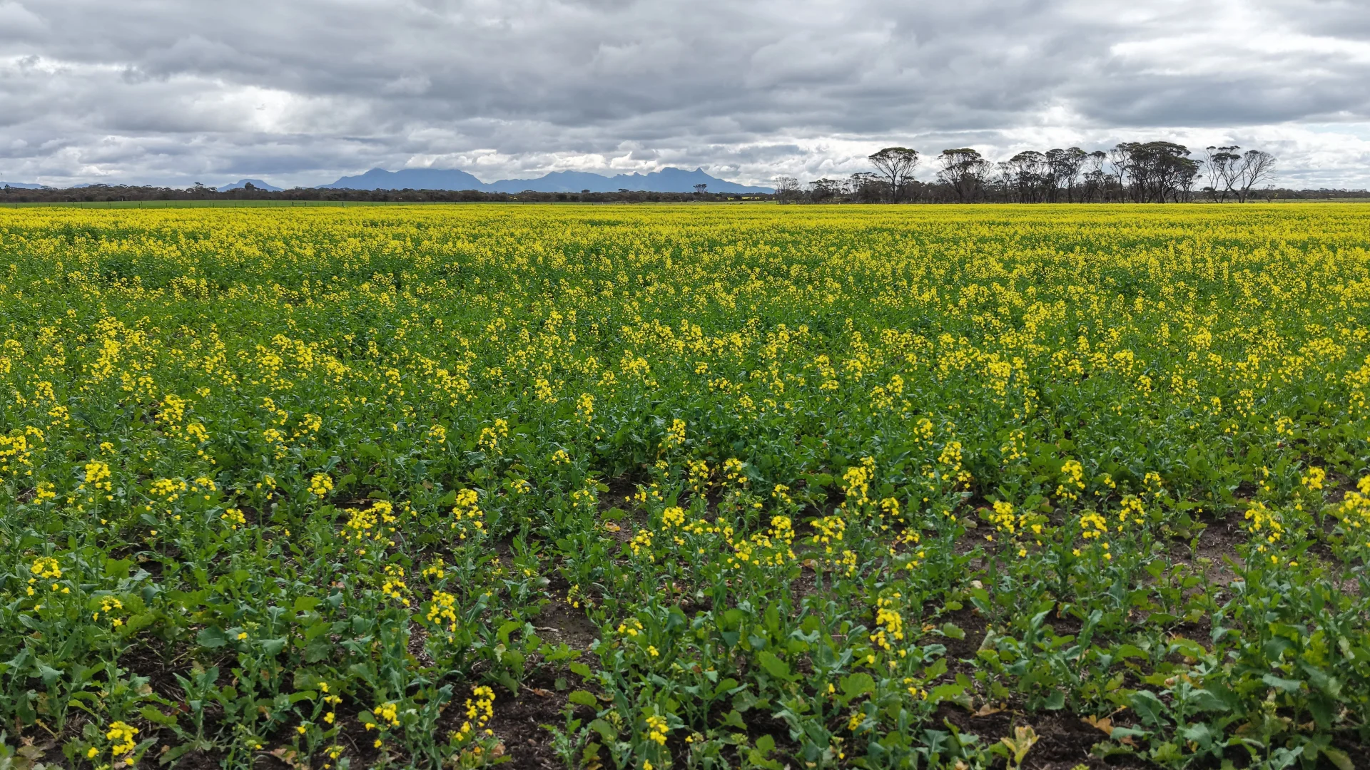 Additional image 30 of 39949 South Coast Highway, Green Range WA 6328