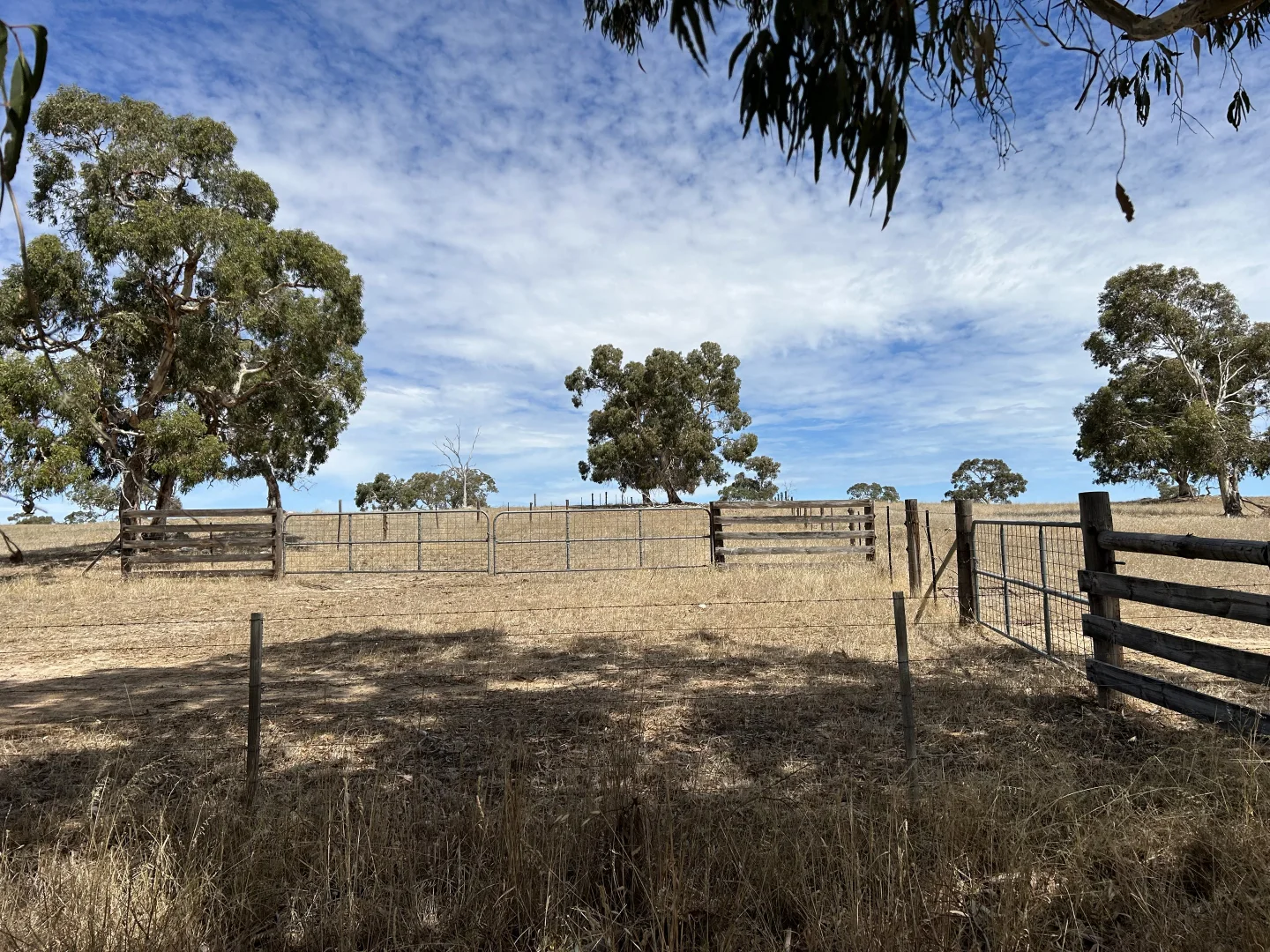 Additional image 23 of Lot 189 and 323 Roy Lawries Road, Lochaber SA 5271