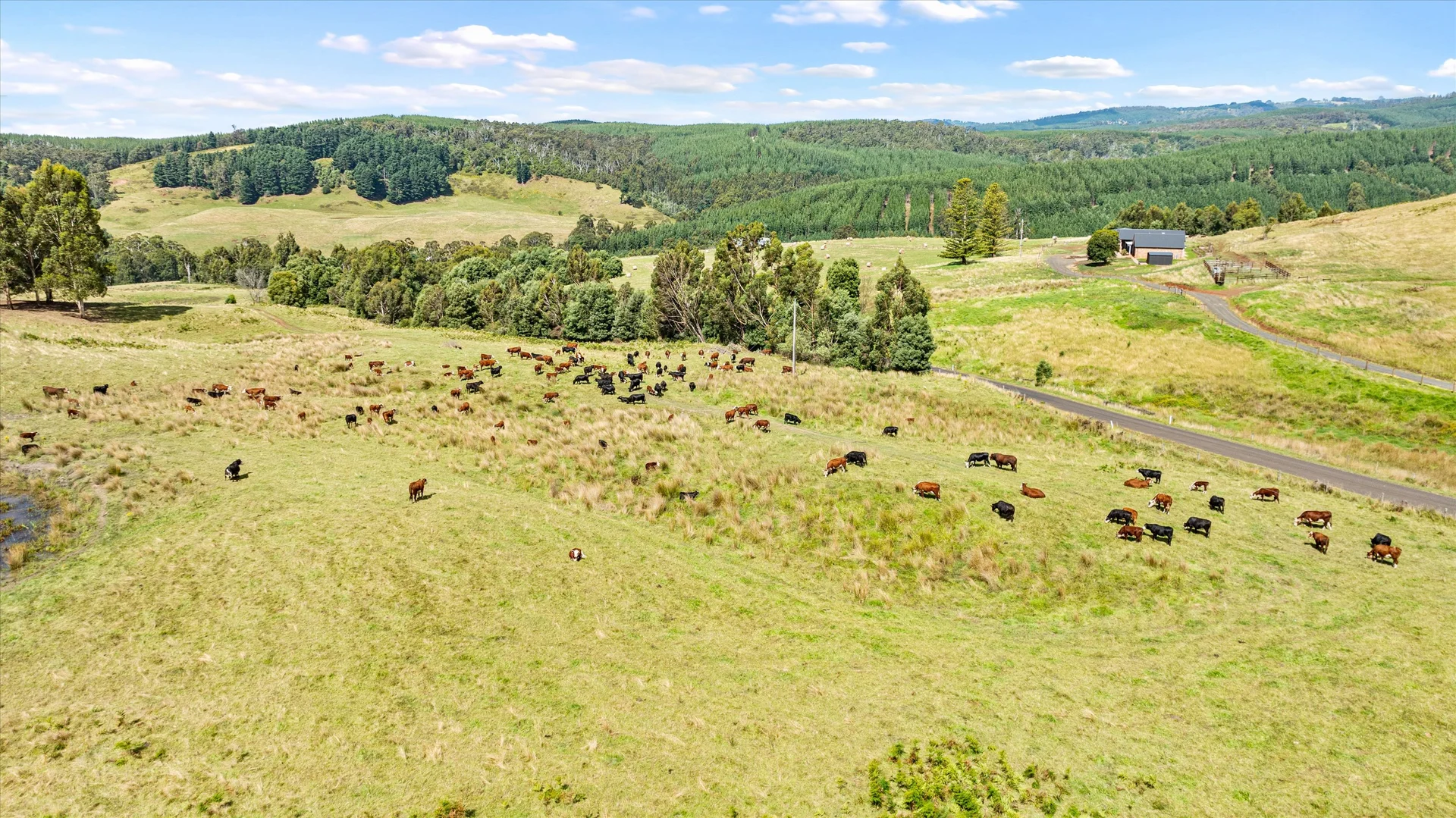 Additional image 40 of 120 Lyndons Road, Callignee VIC 3844