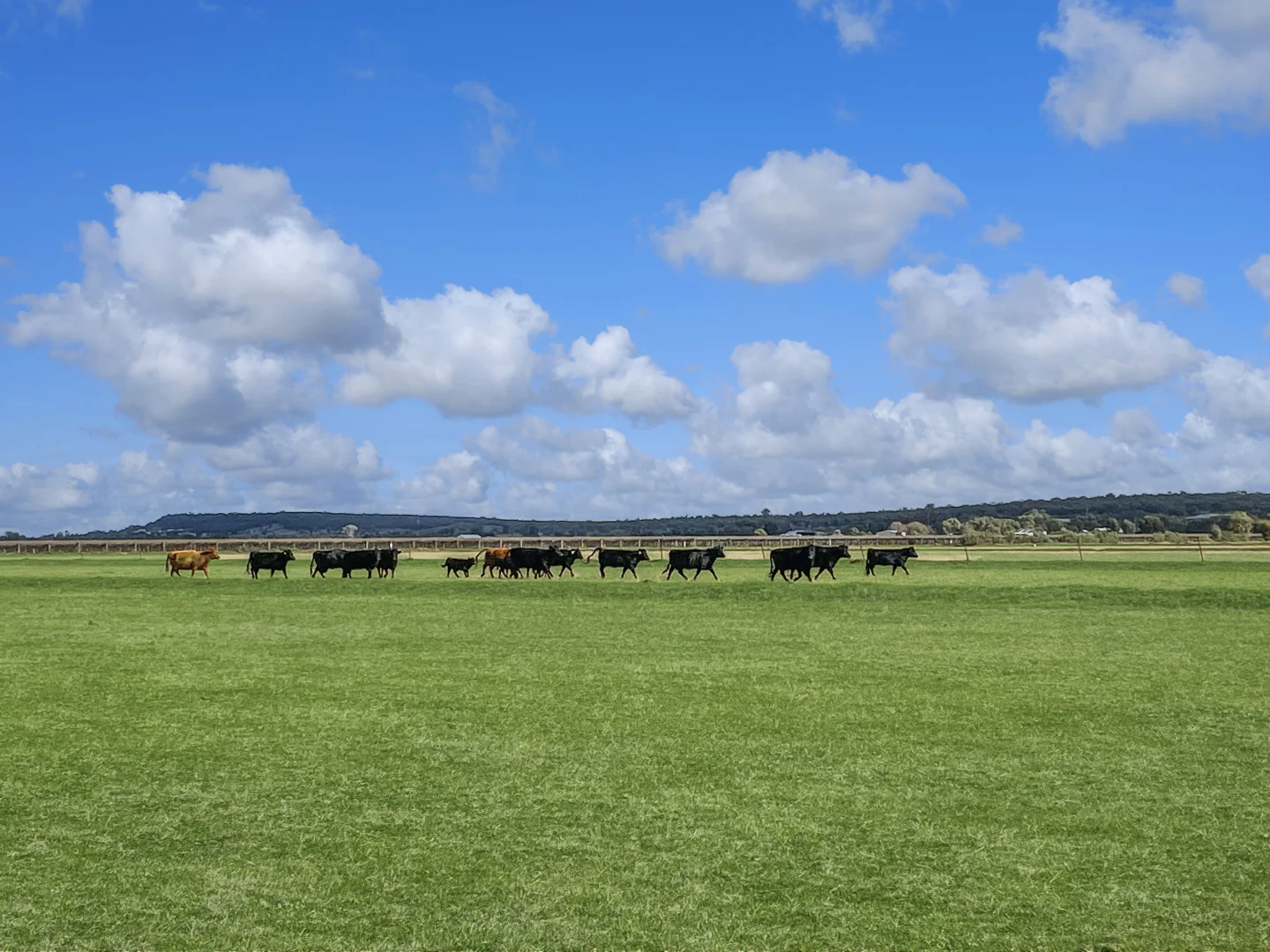 Additional image 5 of 12 Fowler Road, Beelbangera NSW 2680