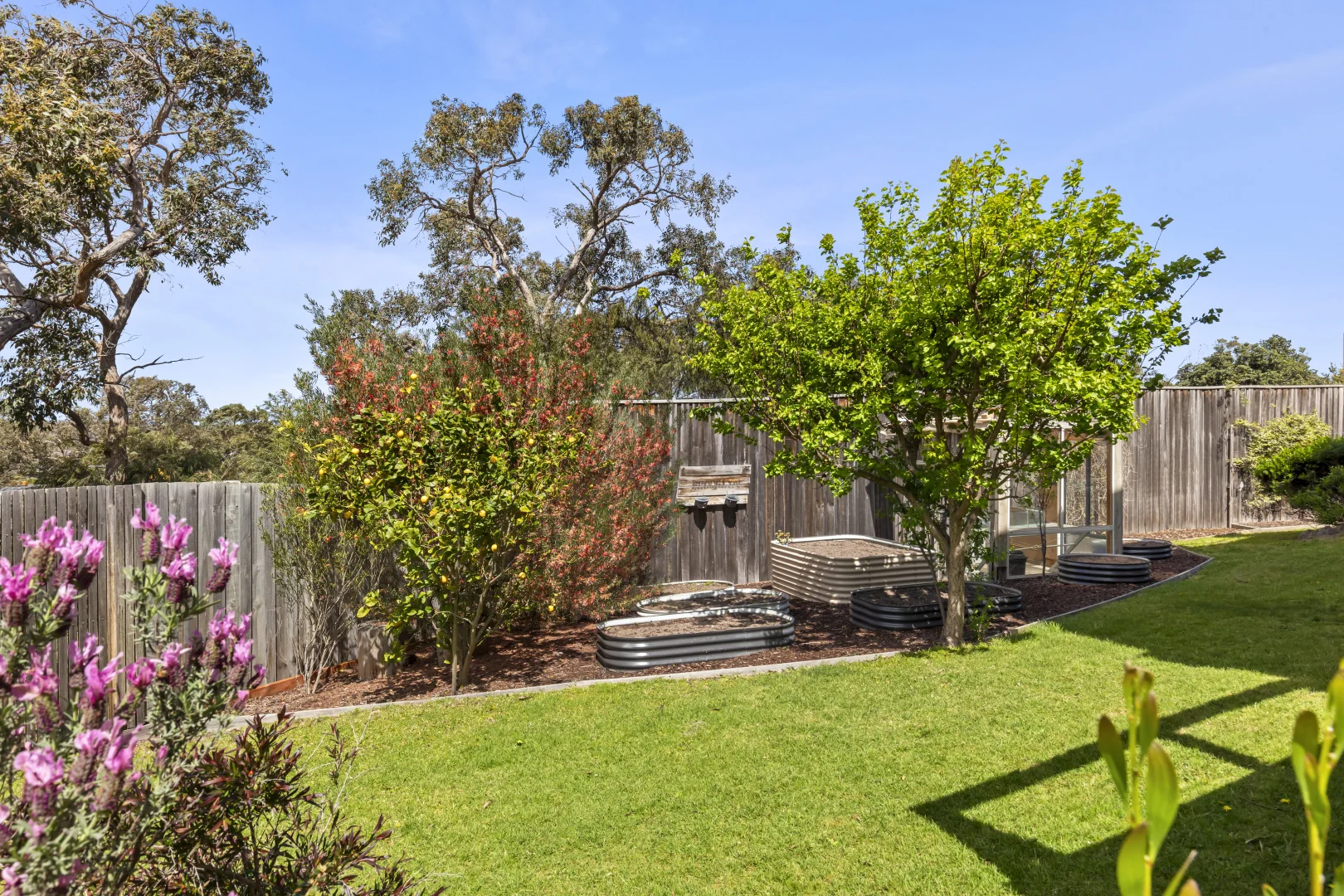 Additional image 30 of 24 Wray Street, Anglesea VIC 3230