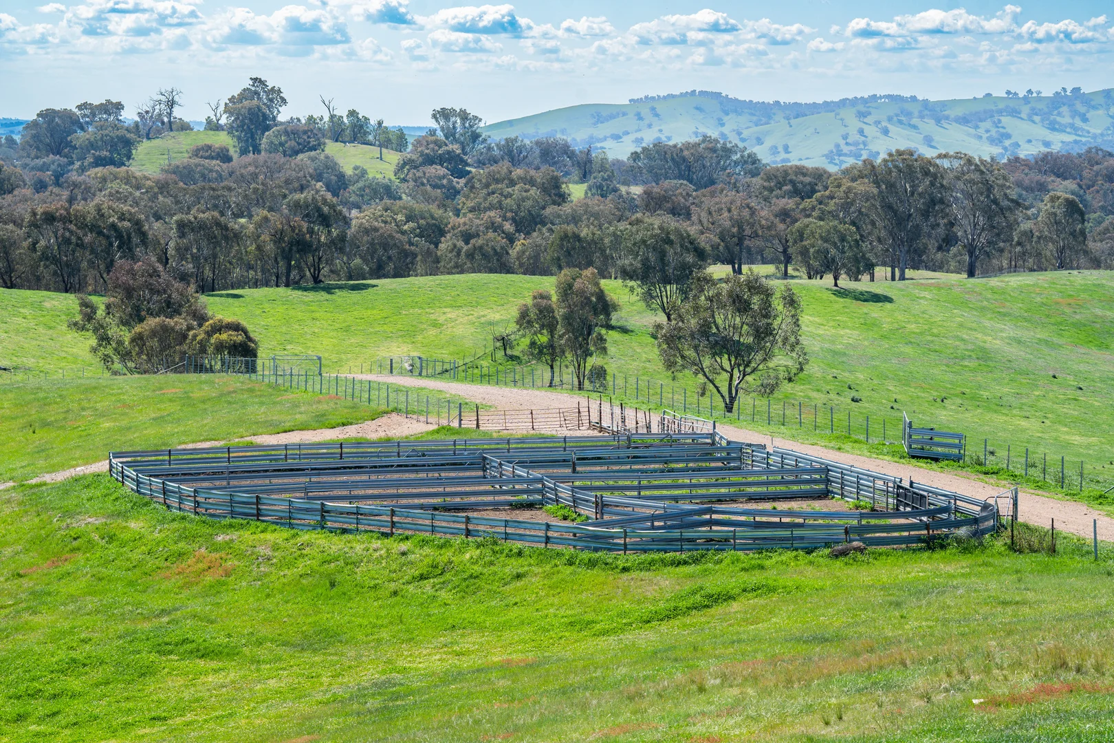 Additional image 13 of 13759 Hume Highway, Mullengandra NSW 2644