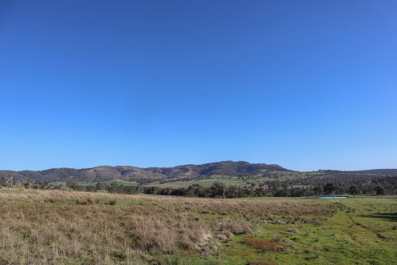 Additional image 13 of "Bonna"  1 Haidee Street, Bendemeer NSW 2355