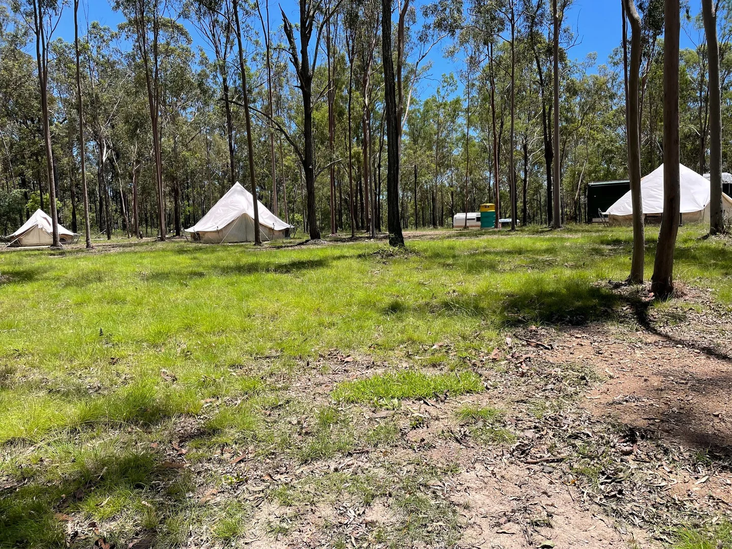 Additional image 3 of 264 Cooks Road, South Isis QLD 4660