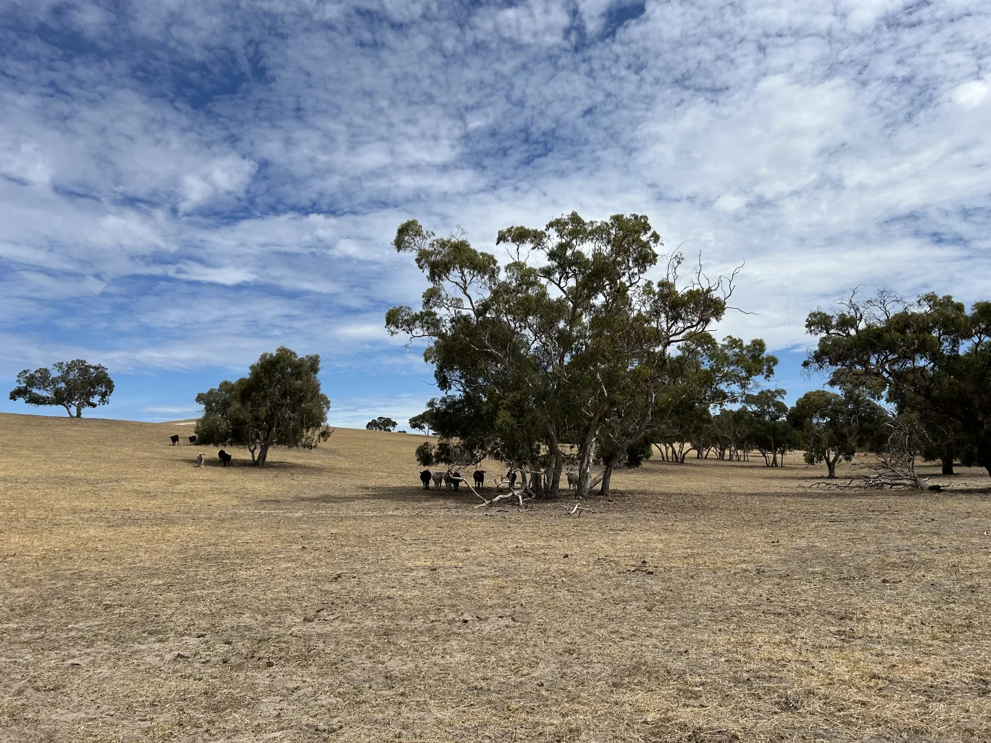 Additional image 7 of Lot 189 and 323 Roy Lawries Road, Lochaber SA 5271