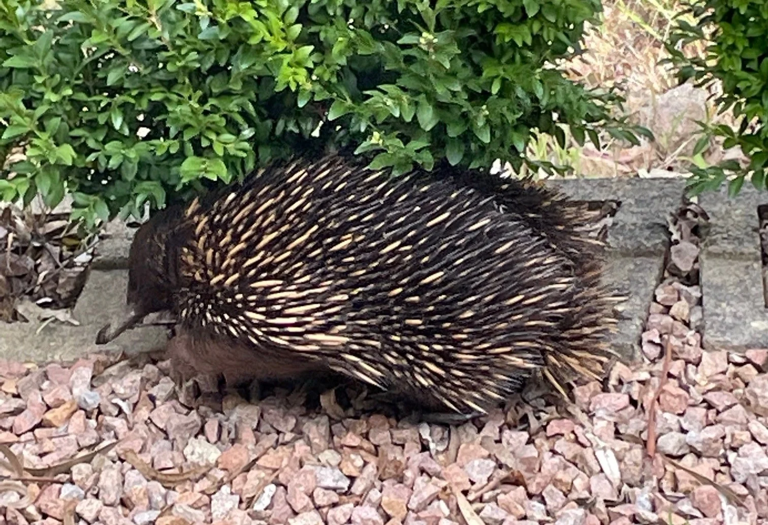 Additional image 31 of 20 kingscote drive, Metung VIC 3904