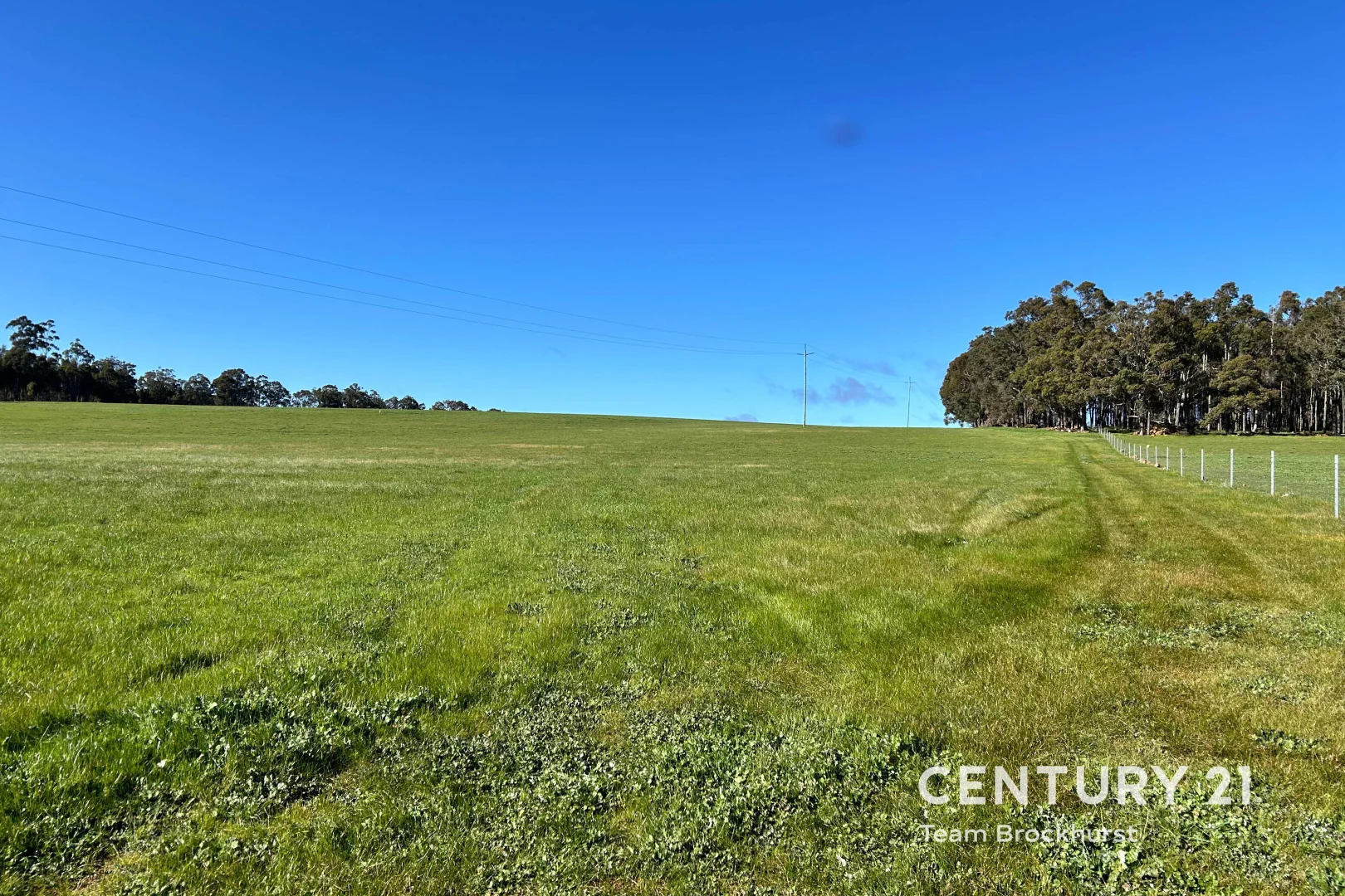 Additional image 12 of 2281 Balbarrup Road, Palgarup WA 6258