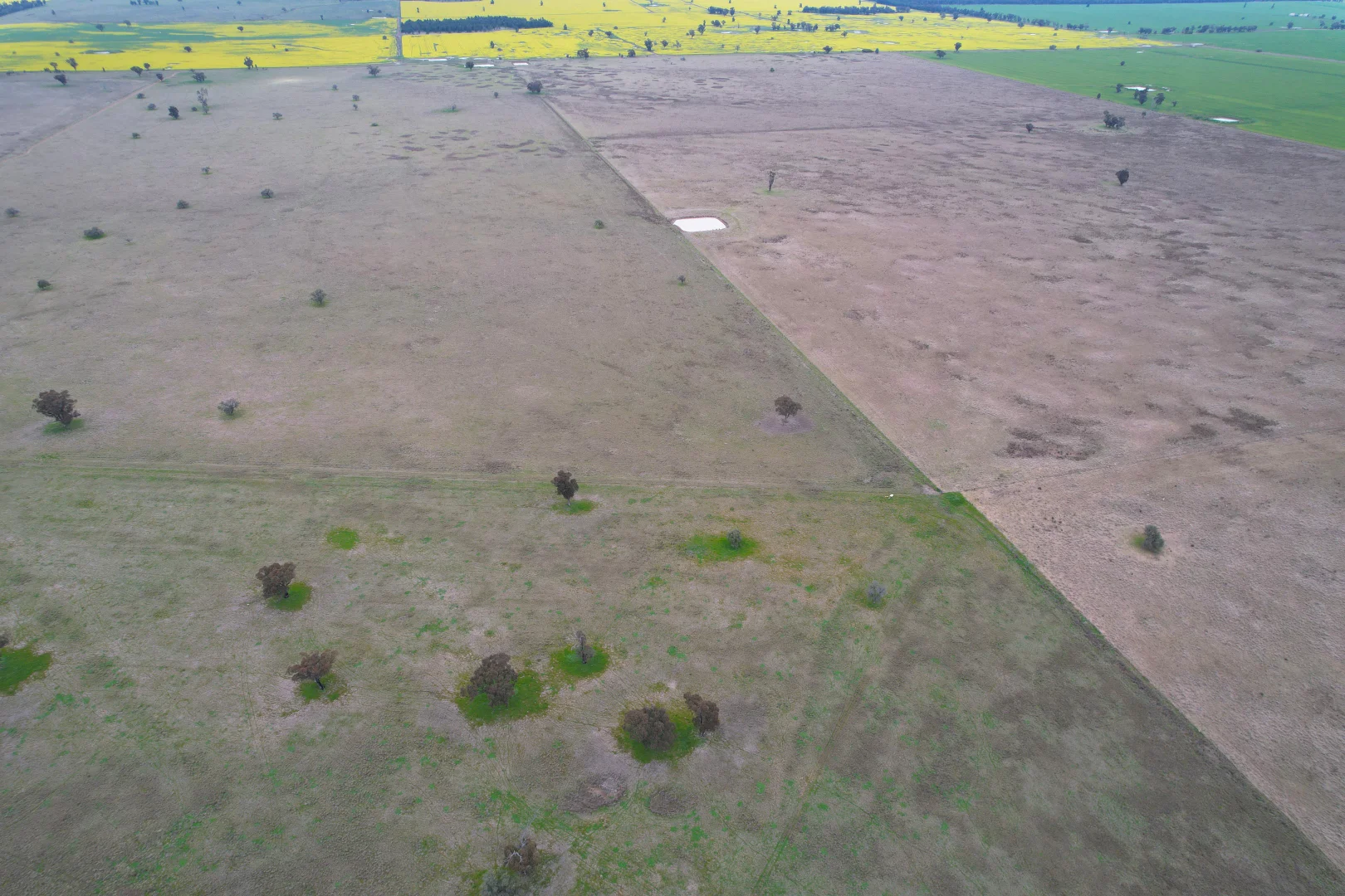 Additional image 9 of 'Weona' 307 Taylors Lane, Barmedman NSW 2668