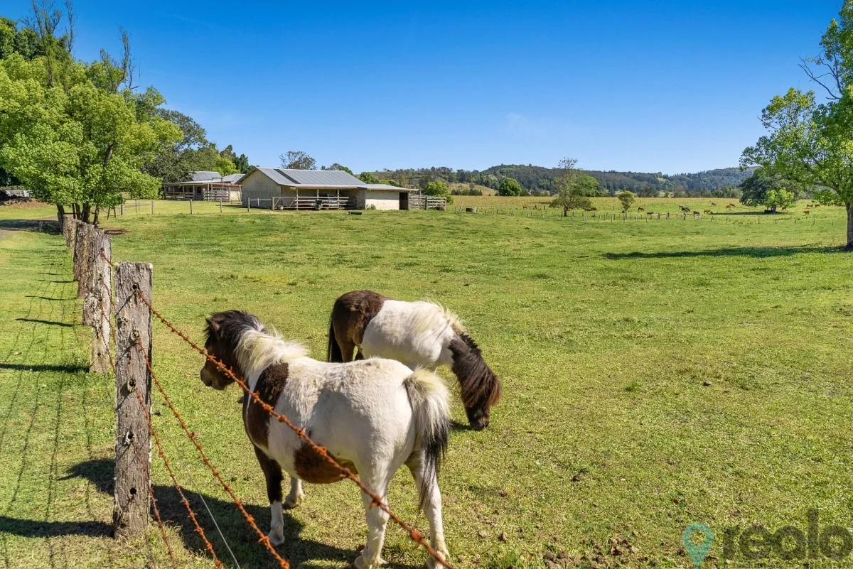 Additional image 44 of 20 Charlton Avenue, South Lismore NSW 2480