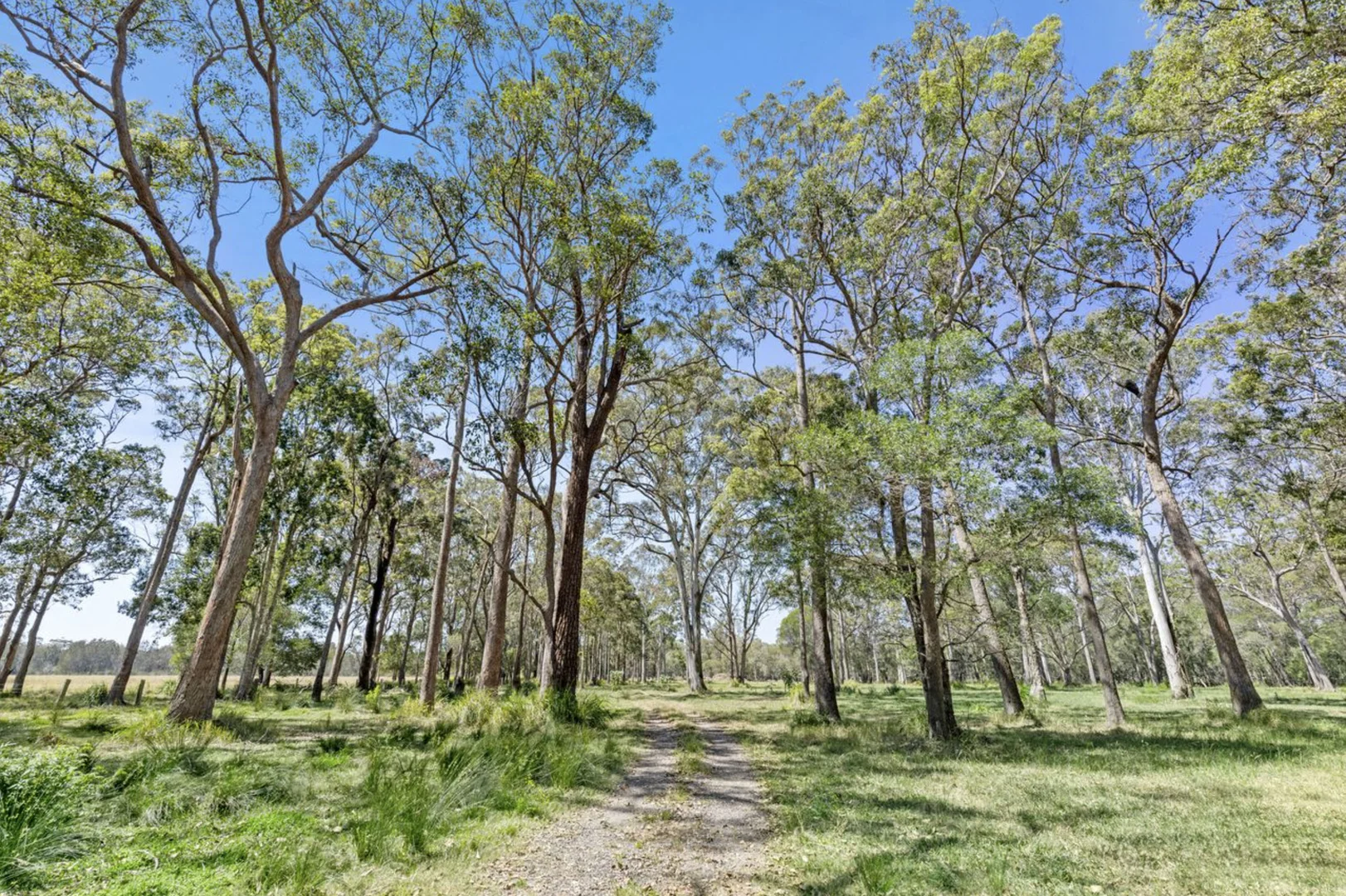 Additional image 15 of 73 Bashforths Lane, Brunswick Heads NSW 2483