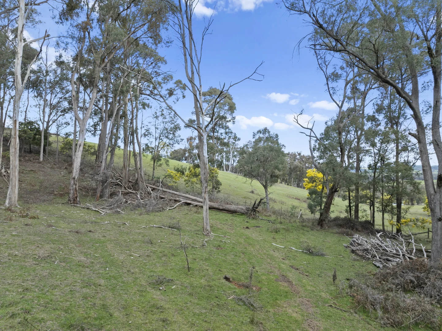 Additional image 25 of 2695 Merton-Euroa Road, Merton VIC 3715