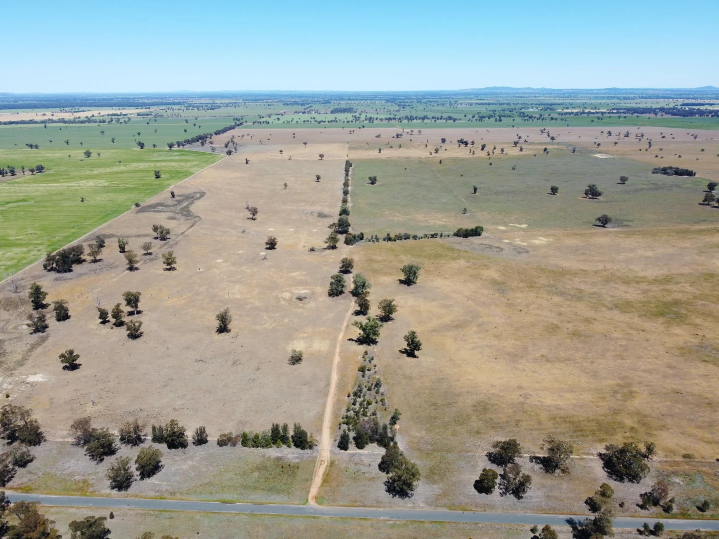 Additional image 4 of 1539 Bland Road, Quandialla NSW 2721