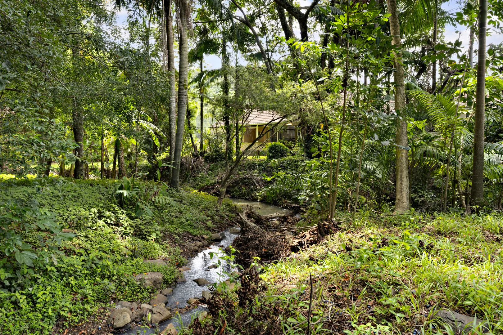 Additional image 14 of 908 Currumbin Creek Road, Currumbin Valley QLD 4223