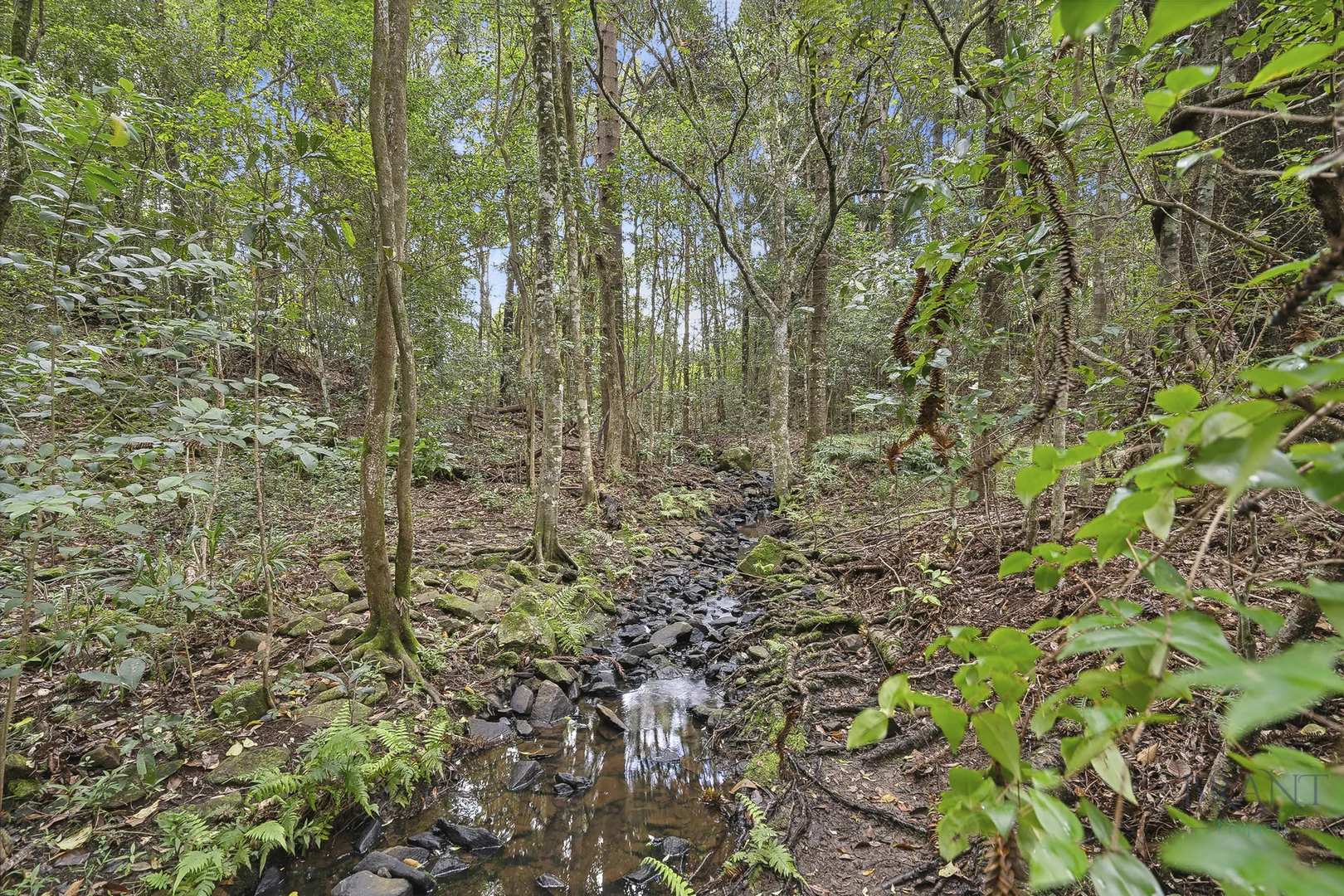 Additional image 16 of Dulong QLD 4560