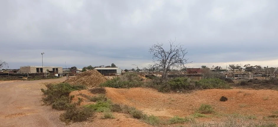 Additional image 11 of 9 Saddleback Road, Mullaquana SA 5608