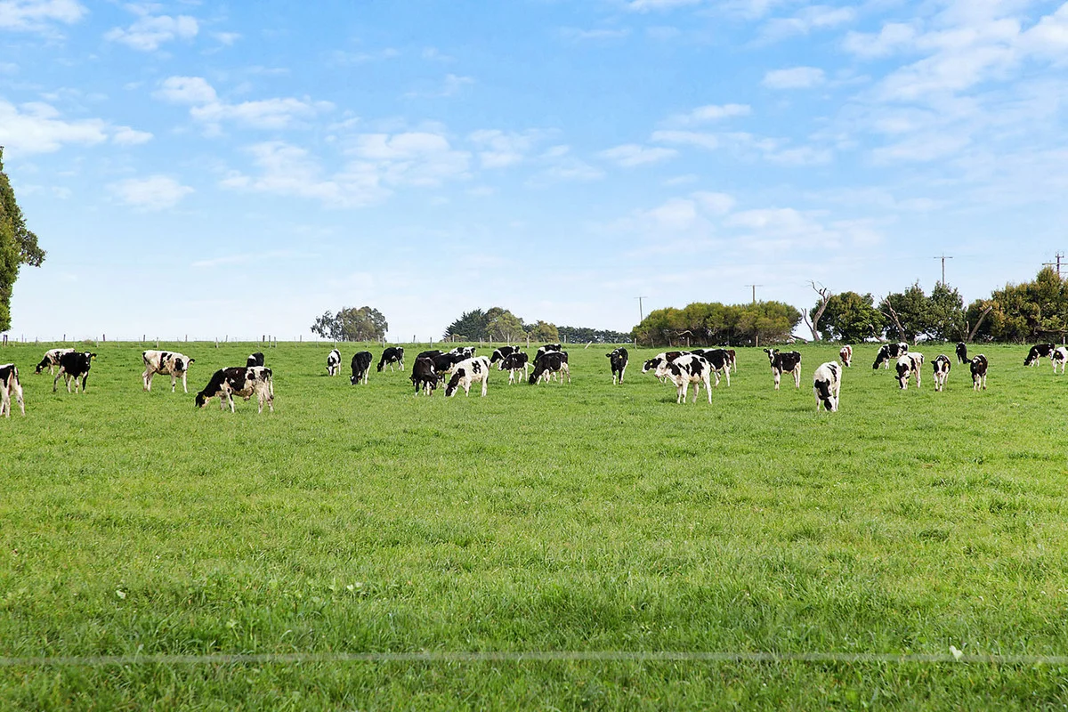 Additional image 17 of 570 Swan Marsh Road, Swan Marsh VIC 3249