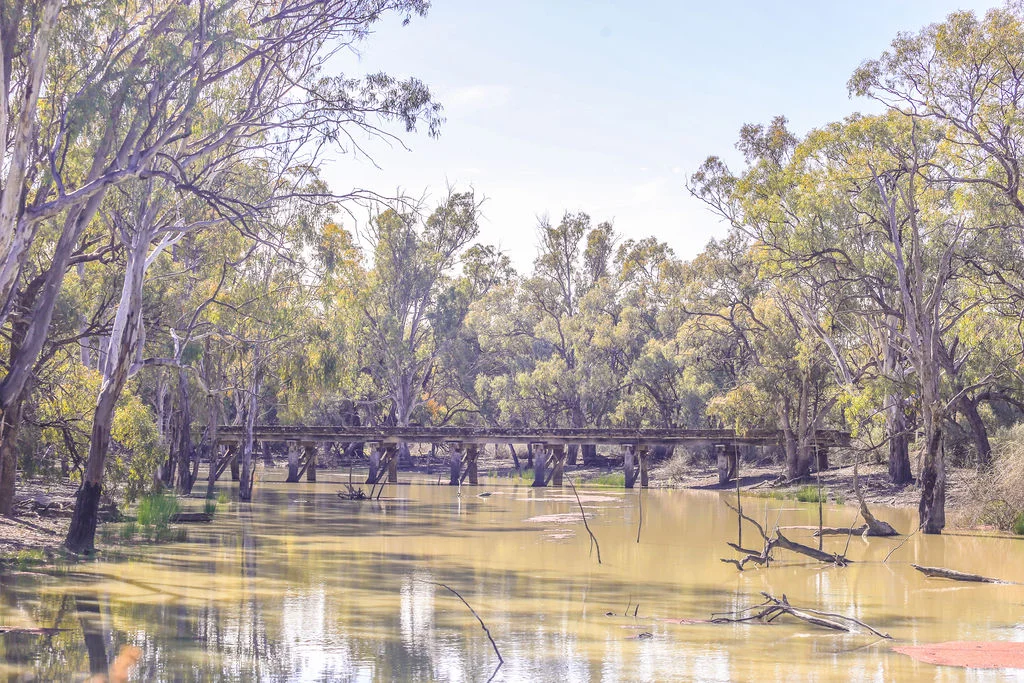 Additional image 34 of 'Wetuppa' 245 Fisher Lane, Wetuppa NSW 2734